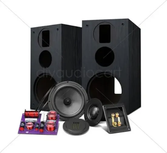Picture of Speaker Pro Kit